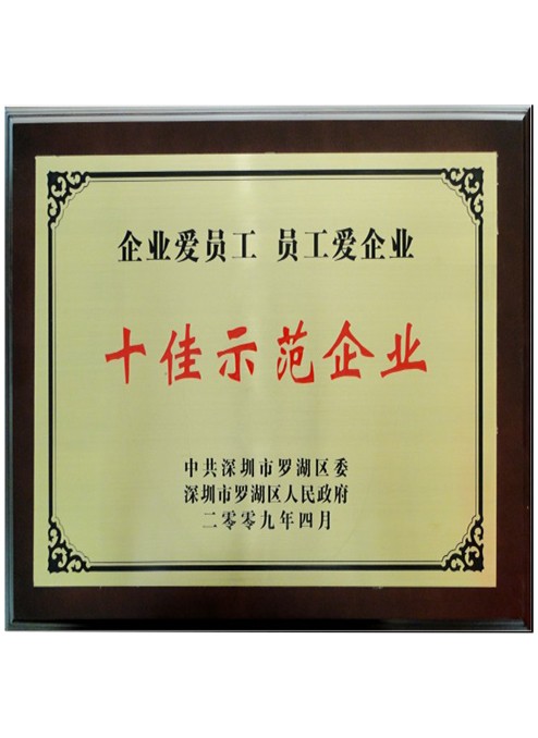 十佳示范企業(yè)
